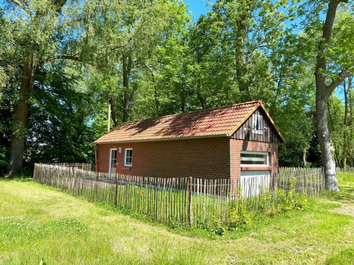 Hofgut Bisdamitz - Ferienhaus "Knoff" Kültér fotó