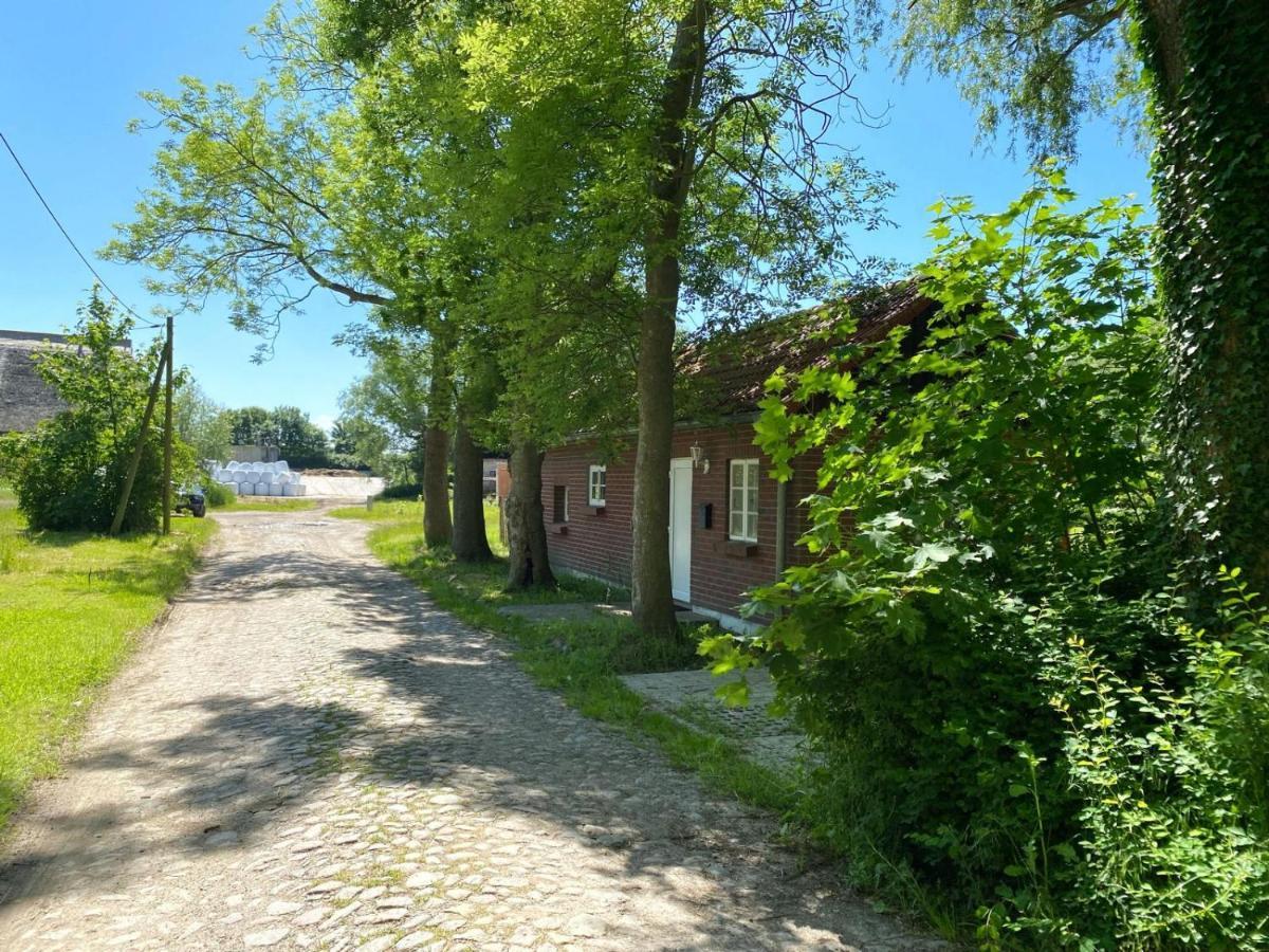 Hofgut Bisdamitz - Ferienhaus "Knoff" Kültér fotó
