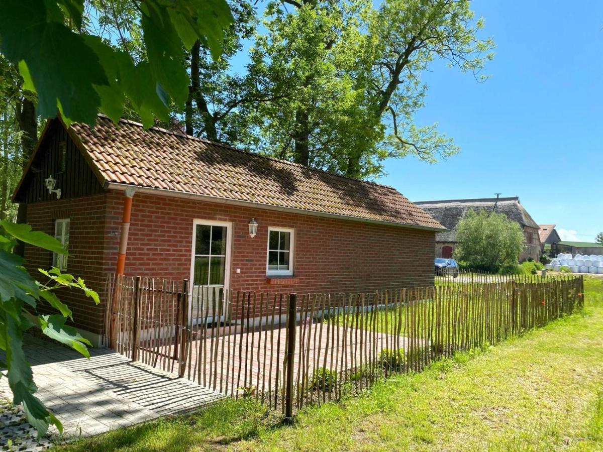 Hofgut Bisdamitz - Ferienhaus "Knoff" Kültér fotó