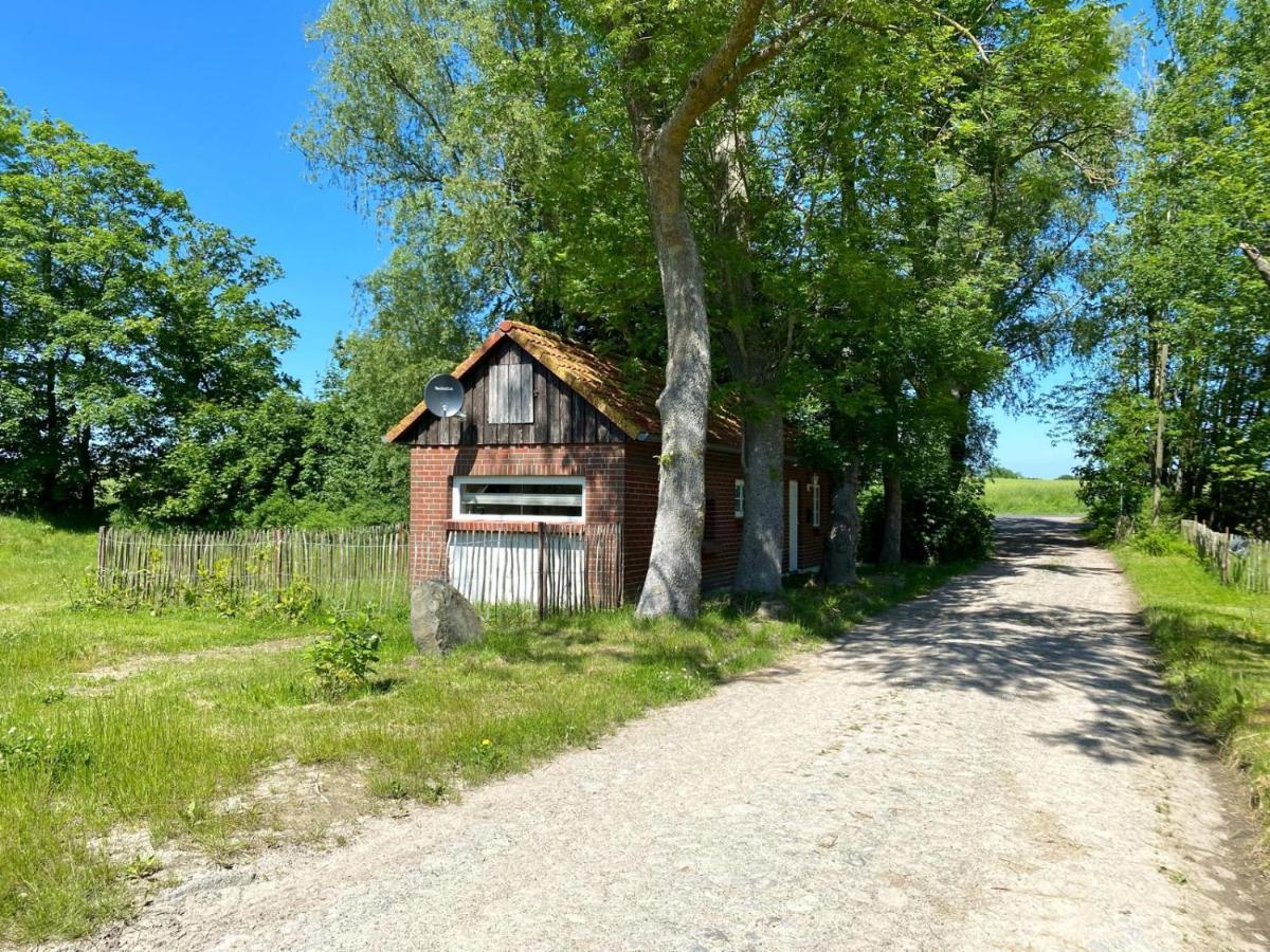 Hofgut Bisdamitz - Ferienhaus "Knoff" Kültér fotó